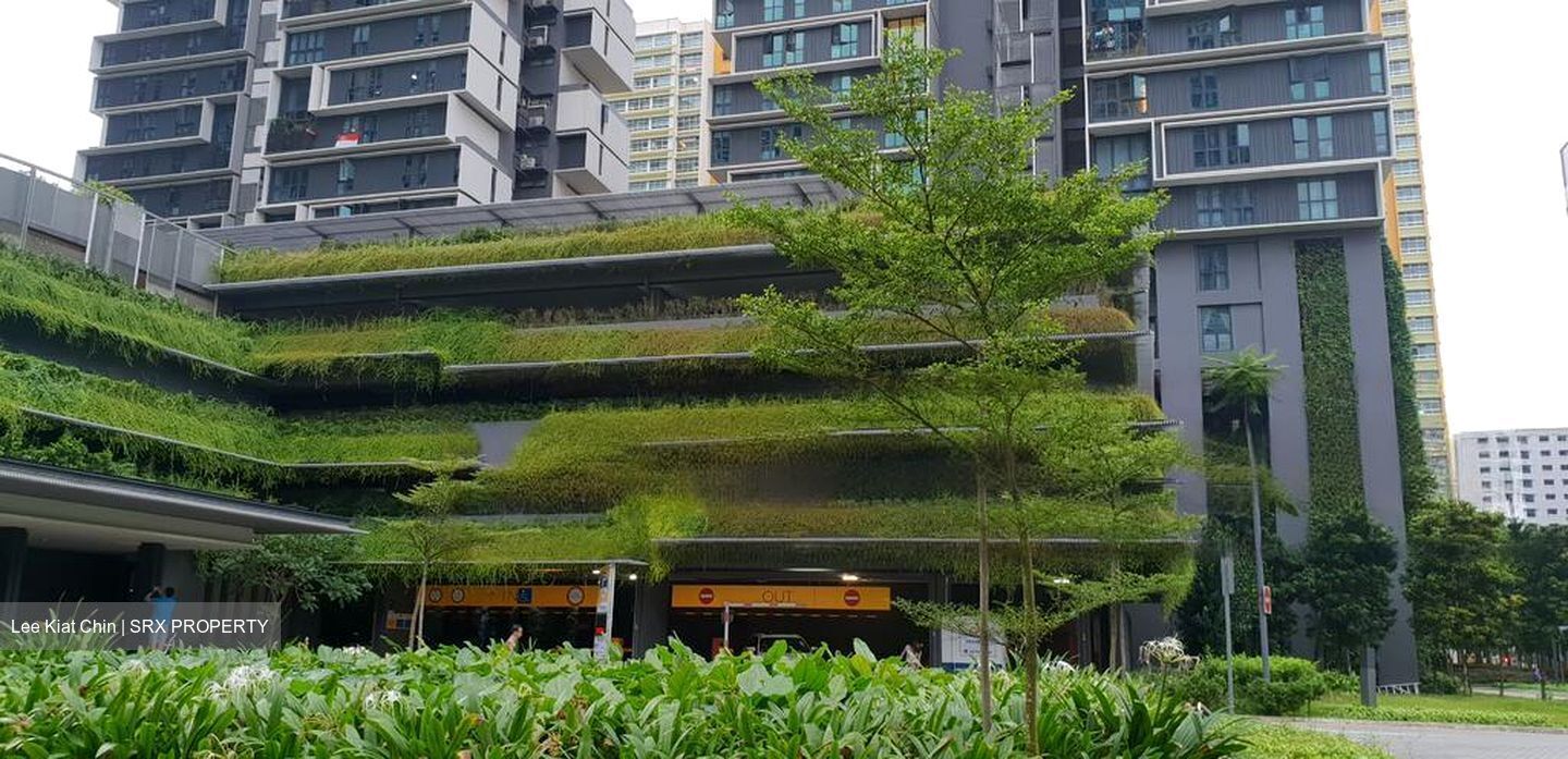 Blk 89 Skyterrace @ Dawson (Queenstown), HDB 4 Rooms #565271221